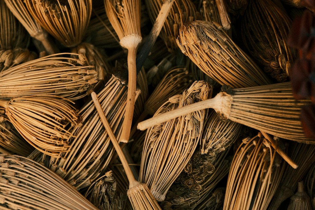 Cleaning Nail Brushes with Soap and Water